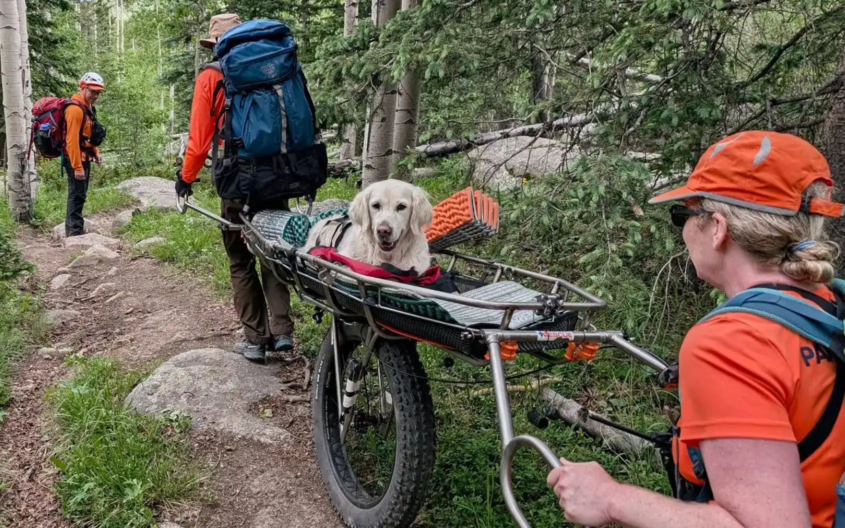 After a Flurry of Backcountry Dog Rescues, SAR Teams in Colorado Ask Pet Owners to Be Safer