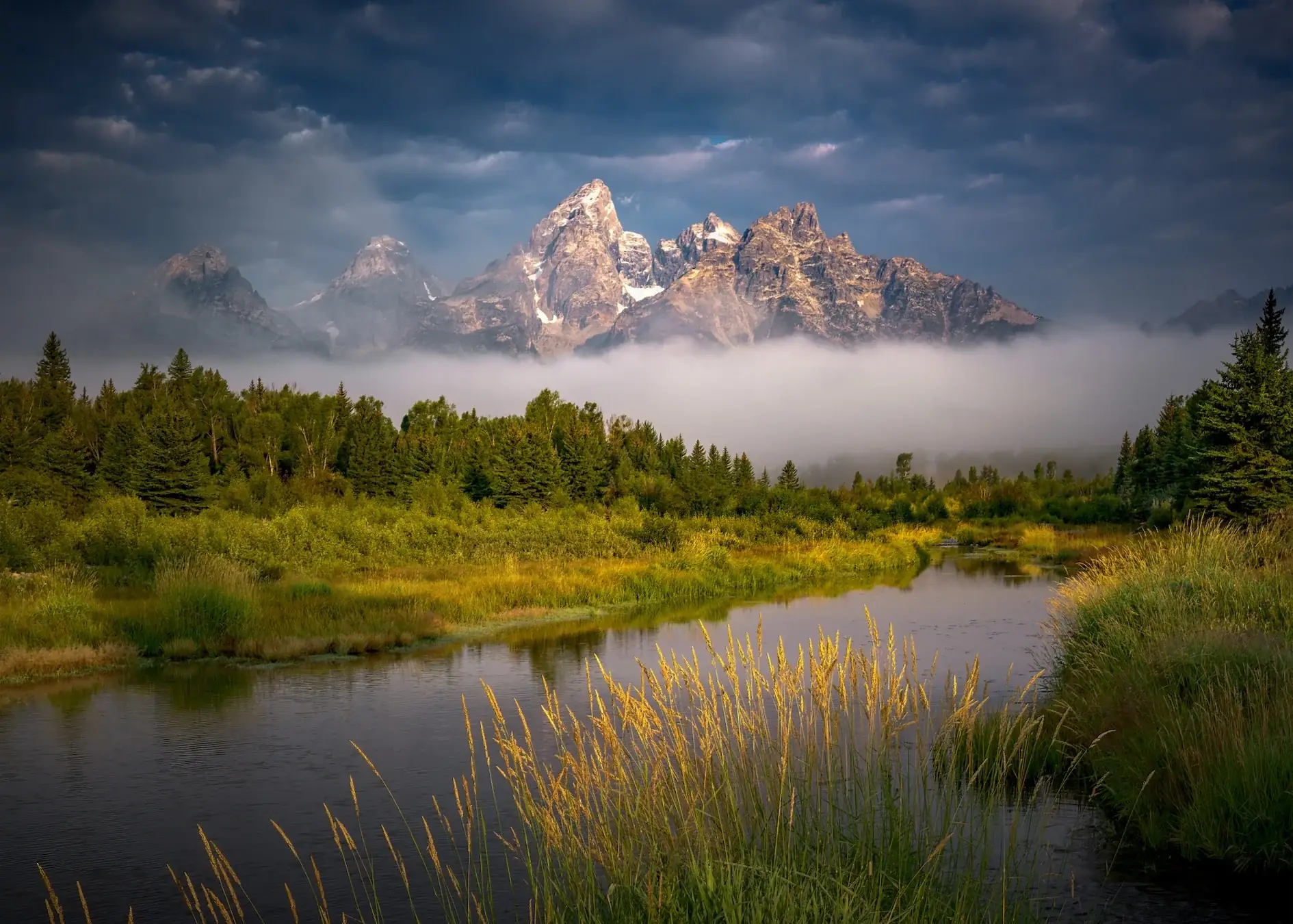 Hundreds of Grand Teton National Park Visitors Were Possibly Exposed to Rabies