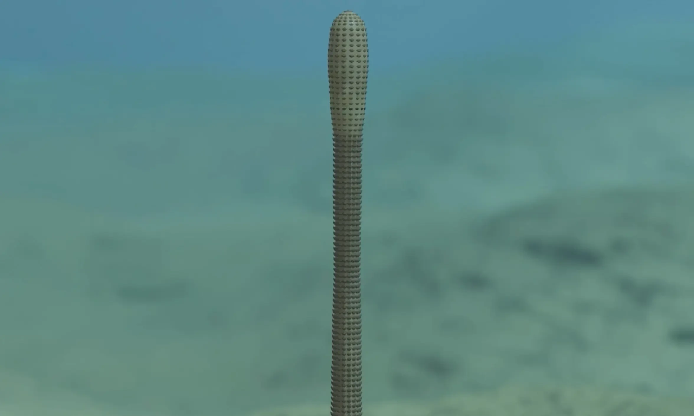 Scientists Found Phallic Fossils in the Grand Canyon From an Ancient Penis Worm