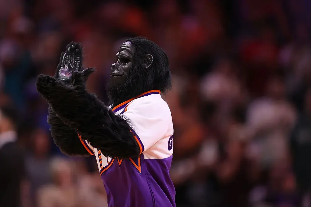 Sports Mascot Versus Grizzly Bear Is the Dramatic Duel of the Week