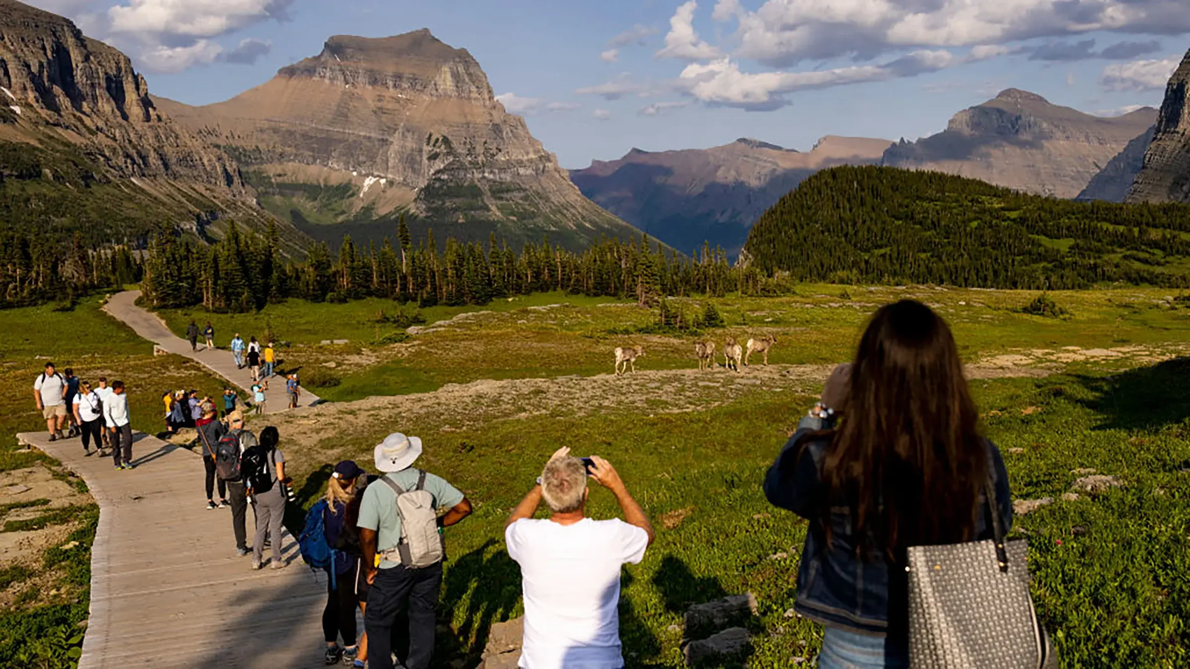 Three People Fell into a Creek in Glacier National Park While Taking a Photo