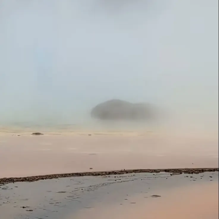 “An Eerie Sight.” Yellowstone Tourists Watched a Bison Fall Into a Hot Spring and Die.